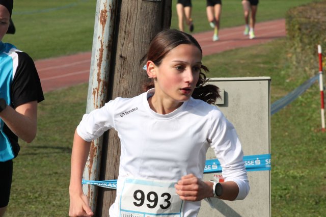 k-2024_crosscountry-land 462